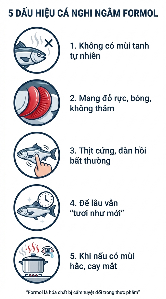 C&aacute;ch nhận biết c&aacute; ng&acirc;m ho&aacute; chất formol nguy hiểm: Đơn giản nhưng nhiều người bỏ qua từ đầu- Ảnh 7.