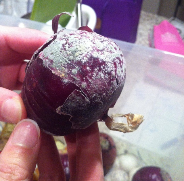 Cả nhà ung thư, bệnh tật nếu còn chưa bỏ 6 thói quen ai cũng tưởng sạch sẽ, tiết kiệm này!- Ảnh 1.