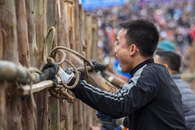 Hàng vạn người kéo về Hải Lựu xem trâu chiến húc nhau nảy lửa- Ảnh 6.