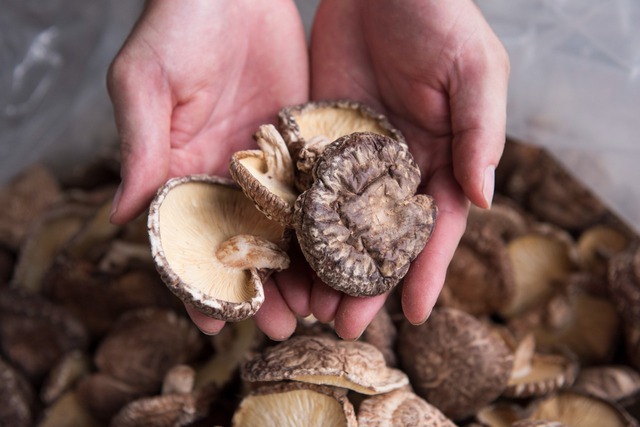 Được mệnh danh l&agrave; &ldquo;thịt&rdquo; trong thế giới thực vật, m&oacute;n n&agrave;y kh&ocirc;ng những bổ ngang thịt c&aacute; m&agrave; c&ograve;n chống ung thư- Ảnh 1.