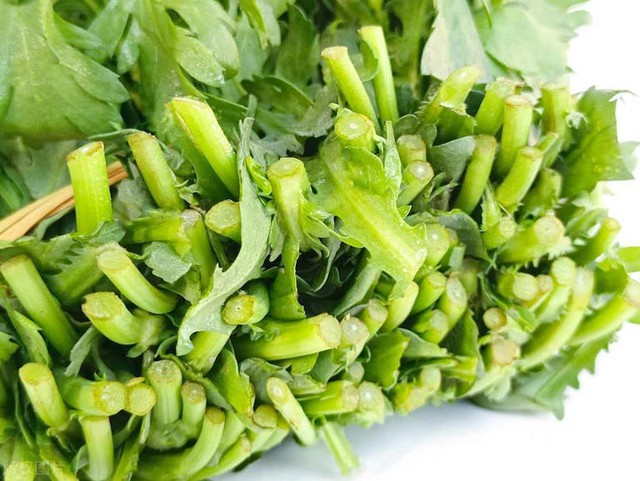 4 loại rau "không bao giờ bị phun thuốc trừ sâu", nhất là cái số 1- Ảnh 4. 4 loại rau "không bao giờ bị phun thuốc trừ sâu", nhất là cái số 1- Ảnh 4.