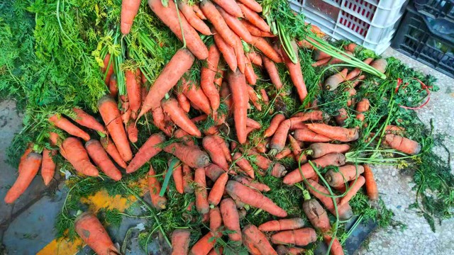 5 loại rau gần như không có thuốc trừ sâu bán đầy chợ Việt, lọt top “sạch tự nhiên” lại bổ dưỡng không tưởng- Ảnh 3. 5 loại rau gần như không có thuốc trừ sâu bán đầy chợ Việt, lọt top “sạch tự nhiên” lại bổ dưỡng không tưởng- Ảnh 3.