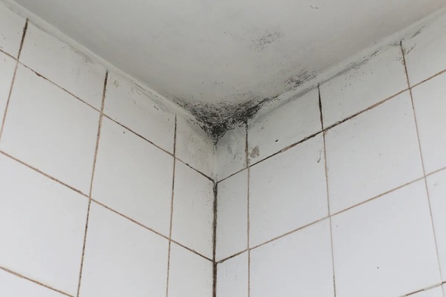 Trong nhà có 5 “ổ bí mật” nuôi nấm mốc, ai sớm tìm ra sẽ tránh được ngộ độc mãn tính, ung thư gõ cửa- Ảnh 1. Trong nhà có 5 “ổ bí mật” nuôi nấm mốc, ai sớm tìm ra sẽ tránh được ngộ độc mãn tính, ung thư gõ cửa- Ảnh 1.