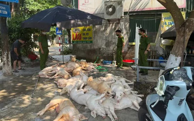 Phát hiện hơn 1 tấn thịt lợn xuất huyết ngoài da, ruồi bâu đầy chuẩn bị lên lò nướng- Ảnh 1.