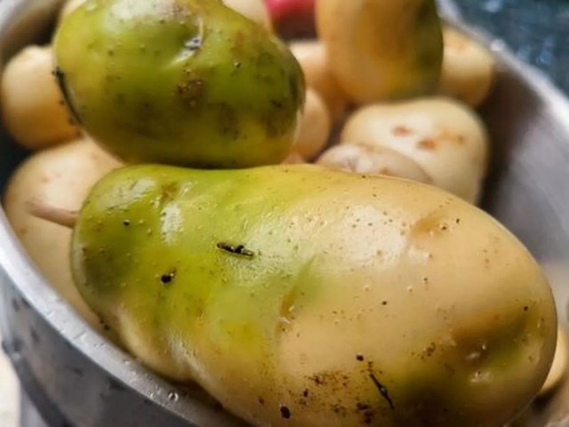 4 loại rau củ đầy độc tố, đã không bổ béo còn phá nội tạng, “cấu kết” với tế bào ung thư nhưng nhà nào cũng có- Ảnh 1. 4 loại rau củ đầy độc tố, đã không bổ béo còn phá nội tạng, “cấu kết” với tế bào ung thư nhưng nhà nào cũng có- Ảnh 1.