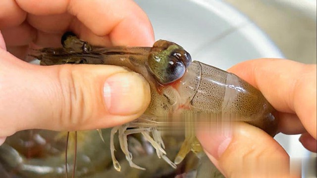 Có cần bỏ chỉ tôm trước khi ăn không? Lão ngư dân tiết lộ câu trả lời, tôi như được "khai sáng"- Ảnh 3.