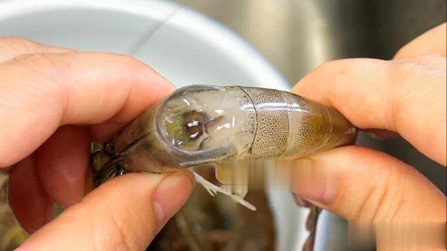 Có cần bỏ chỉ tôm trước khi ăn không? Lão ngư dân tiết lộ câu trả lời, tôi như được "khai sáng"- Ảnh 2.