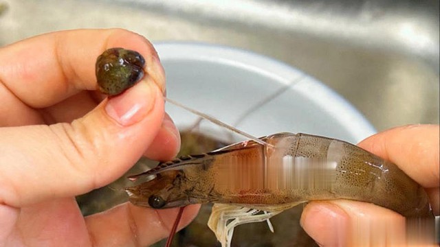 Có cần bỏ chỉ tôm trước khi ăn không? Lão ngư dân tiết lộ câu trả lời, tôi như được "khai sáng"- Ảnh 4.