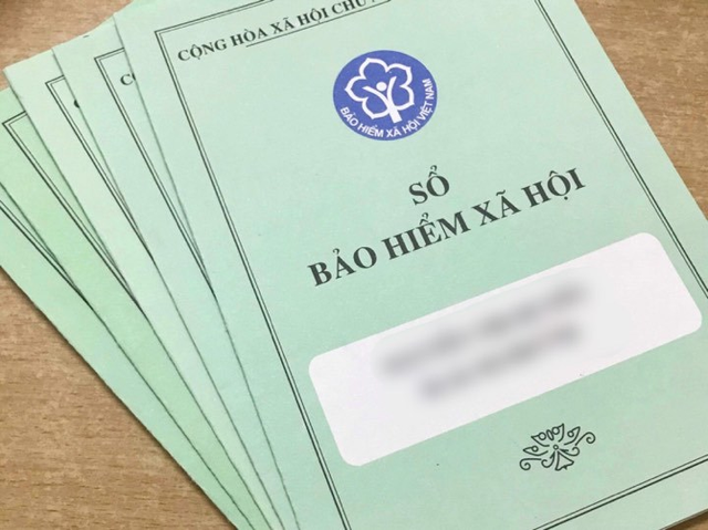 Những loại bảo hiểm nào người lao động bắt buộc phải đóng khi đi làm?- Ảnh 1.
