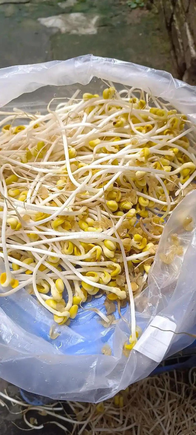 Dạo 1 vòng chợ, người tinh ranh nhìn là biết ngay 5 loại rau củ này "ngâm tẩm đẫm hóa chất", nhất là cái số 4- Ảnh 4.