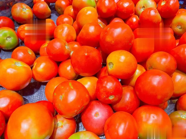 Khi mua cà chua, nên chọn quả tròn hay nhọn? Một nông dân trồng rau giàu kinh nghiệm sẽ chỉ chọn loại này- Ảnh 1.