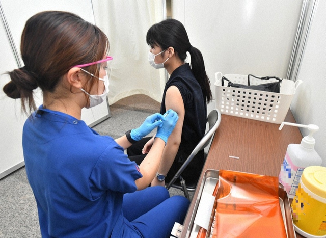 Dị ứng những thành phần nào thì không nên tiêm vắc xin HPV?- Ảnh 1.
