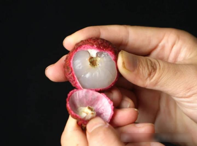 Bóc vỏ quả vải, phần đen trên cuống là gì? Nhiều người nghĩ là "phân sâu", chuyên gia trả lời- Ảnh 2.