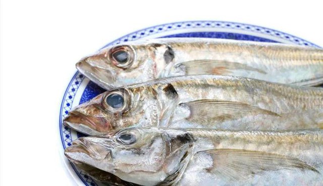 Đừng ngần ngại mua 5 loại cá này, đều là cá hoang dã và không thể nuôi được- Ảnh 3.