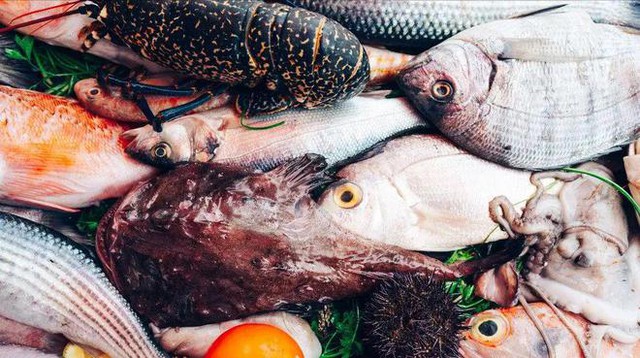 Đừng ngần ngại mua 5 loại cá này, đều là cá hoang dã và không thể nuôi được- Ảnh 1.