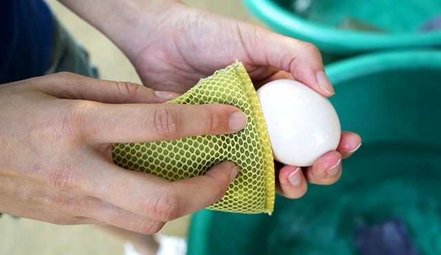 4 thực phẩm "KHÔNG CẦN RỬA SẠCH" trước khi nấu, càng rửa kỹ càng nhiều vi khuẩn- Ảnh 3.
