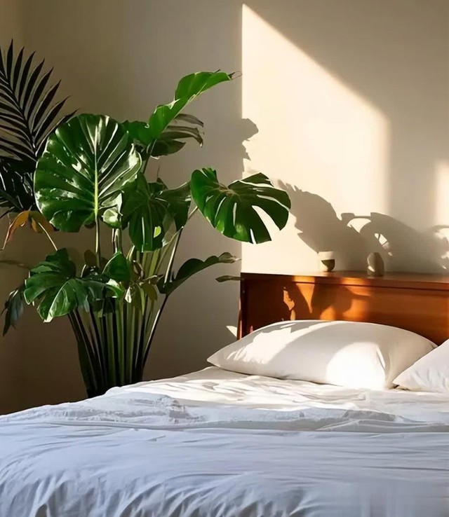 Người xưa dạy: "Đừng để 5 thứ trong phòng ngủ", đó là gì? Đáng tiếc nhiều người không biết- Ảnh 5.