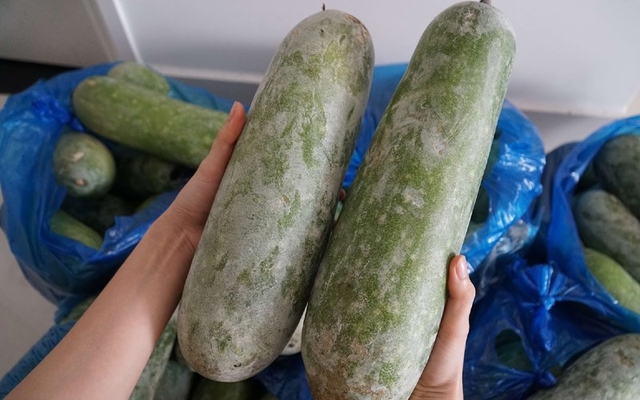 Giải mã trào lưu ngủ chung với… quả bí đao, bác sĩ: Mát, khỏe thật hay giả 4 kiểu người này cũng KHÔNG học theo- Ảnh 2. Giải mã trào lưu ngủ chung với… quả bí đao, bác sĩ: Mát, khỏe thật hay giả 4 kiểu người này cũng KHÔNG học theo- Ảnh 2.