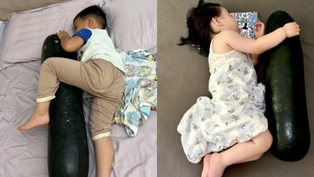 Giải mã trào lưu ngủ chung với… quả bí đao, bác sĩ: Mát, khỏe thật hay giả 4 kiểu người này cũng KHÔNG học theo- Ảnh 1. Giải mã trào lưu ngủ chung với… quả bí đao, bác sĩ: Mát, khỏe thật hay giả 4 kiểu người này cũng KHÔNG học theo- Ảnh 1.