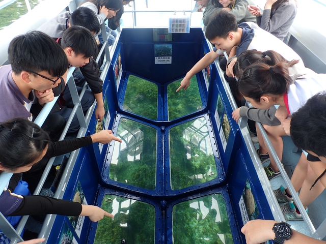 1001 trải nghiệm cho hội bạn thân ở Hong Kong Summer Viva: Đi thôi, do dự thì hết cả thanh xuân- Ảnh 4.