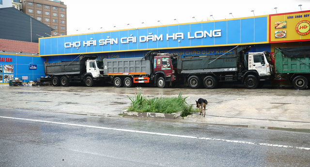 Trực tiếp: Bão số 3 đổ bộ đất liền Hưng Yên - Ninh Bình; CSGT Hà Nội khuyến cáo người dân hạn chế ra đường- Ảnh 32.