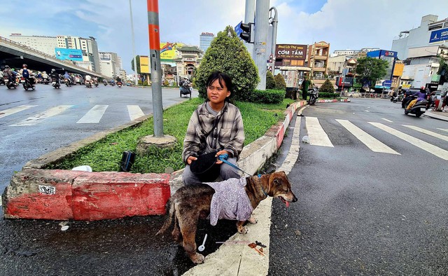 Câu chuyện sau bức ảnh cô bé ăn xin ôm chú chó già ở ngã tư Hàng Xanh - Ảnh 11.