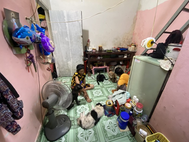 Câu chuyện sau bức ảnh cô bé ăn xin ôm chú chó già ở ngã tư Hàng Xanh - Ảnh 7.
