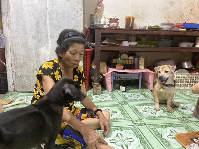Câu chuyện sau bức ảnh cô bé ăn xin ôm chú chó già ở ngã tư Hàng Xanh - Ảnh 9.