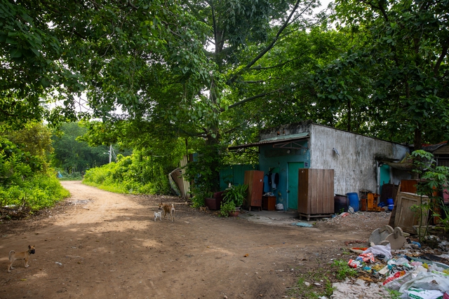 Toàn cảnh ngôi trường tiểu học đang được xây dựng trên nền nghĩa trang lớn nhất TP.HCM- Ảnh 20.
