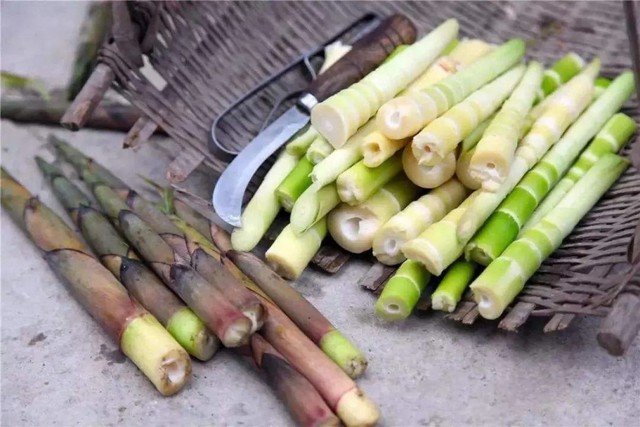 “Vạch mặt” 8 thực phẩm giấu toàn chất CỰC ĐỘC nhưng lại cực quen trong bếp- Ảnh 1.