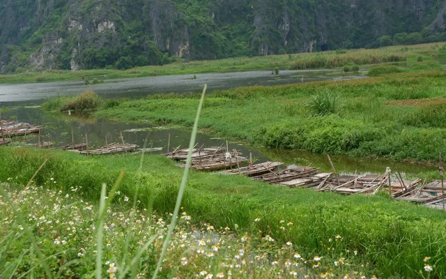 Cộng đồng chung tay làm du lịch bền vững để bảo tồn loài voọc ở Vân Long- Ảnh 1.