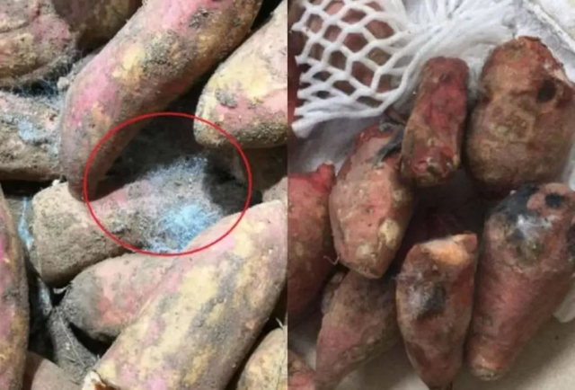 4 thực phẩm càng ăn gan càng "khô cứng như rễ tre" nhưng nhiều người vẫn thích mê- Ảnh 1.