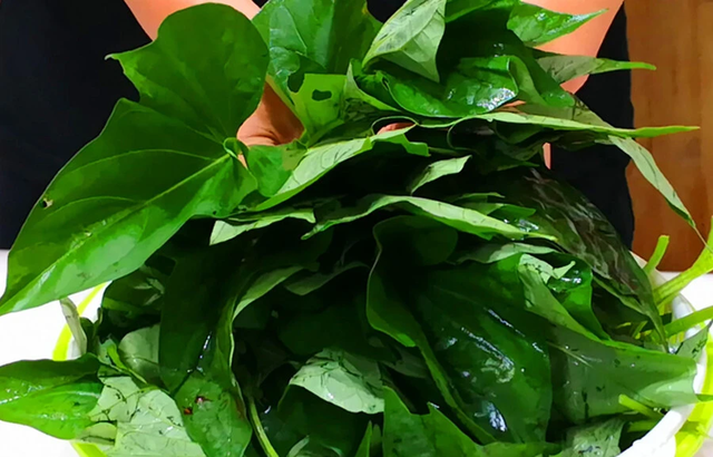 3 loại rau mùa hè không lo thuốc trừ sâu lại giàu dinh dưỡng- Ảnh 1.