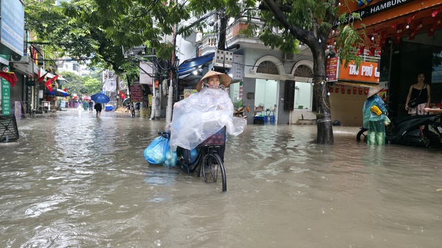 Hà Nội đang ngập khủng khiếp, cây gãy đổ chắn ngang đường- Ảnh 56.