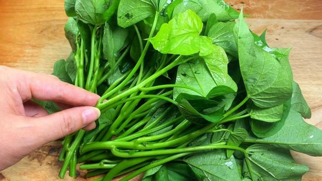 Loại “rau từng cho heo” thành siêu thực phẩm được Mỹ thu mua với giá 1 triệu/kg vì khả năng “ức chế tế bào phổi bệnh lý” mạnh hơn cả thuốc nhập khẩu- Ảnh 1.