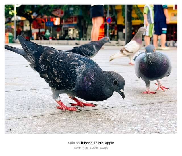 Sài Gòn qua "ống kính" của iPhone 17 Pro- Ảnh 2.
