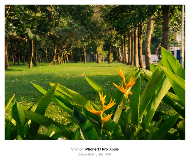 Sài Gòn qua "ống kính" của iPhone 17 Pro- Ảnh 18.