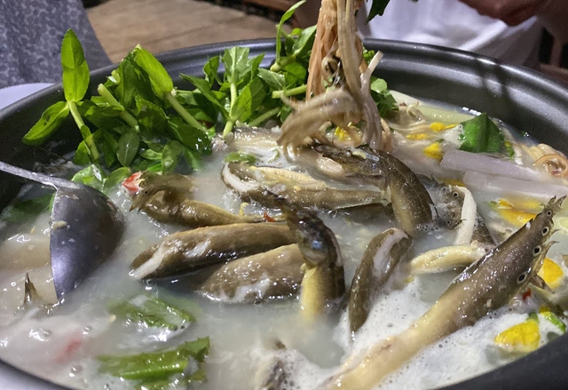 Việt Nam có loại cá quê bổ như "nhân sâm dưới nước": Dưỡng thận, sáng mắt, tốt cho cả não và tim- Ảnh 3.