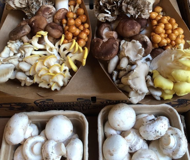 Chợ Việt c&oacute; 6 thứ gi&aacute; rẻ l&agrave; "vua thải độc gan", tăng đề kh&aacute;ng, chống ung thư: Thấy phải mua ngay- Ảnh 4.