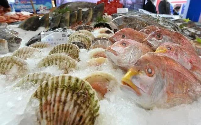 Thực phẩm giàu canxi - nền tảng cho hệ xương chắc khỏe- Ảnh 1. Thực phẩm giàu canxi - nền tảng cho hệ xương chắc khỏe- Ảnh 1.