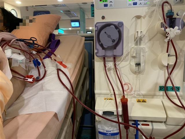 Học sinh lớp 6 phải chạy thận suốt đời v&igrave; ng&agrave;y n&agrave;o cũng ăn 1 m&oacute;n thịt "gi&ograve;n rụm", thơm phức "vạn người m&ecirc;"- Ảnh 1.