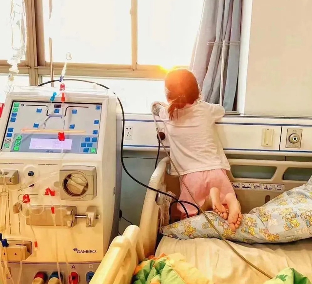 Học sinh lớp 3 qua đời sau 30 ng&agrave;y ph&aacute;t hiện ung thư thận v&igrave; m&oacute;n tr&aacute;ng miệng mềm mềm, thơm ngọt "vạn người m&ecirc;"- Ảnh 2.