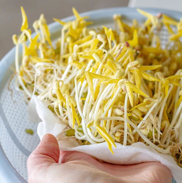 Chợ Việt quanh năm đều sẵn loại rau là "nữ hoàng protein" trong giới thực vật, vài nghìn cả túi nhưng "tim yêu, mỡ sợ"- Ảnh 1. Chợ Việt quanh năm đều sẵn loại rau là "nữ hoàng protein" trong giới thực vật, vài nghìn cả túi nhưng "tim yêu, mỡ sợ"- Ảnh 1.