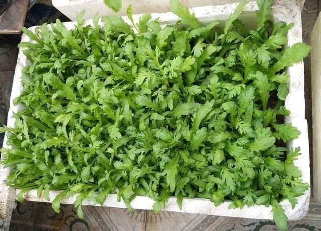 Loại rau tốt tr&ecirc;n thế giới, xưa chỉ d&ugrave;ng cho vua ch&uacute;a, nay chợ Việt b&aacute;n v&agrave;i ngh&igrave;n cả mớ: Cực tốt cho sức khỏe! - Ảnh 1.