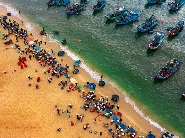 Việt Nam c&oacute; l&agrave;ng ch&agrave;i b&aacute;n loại mực chết l&agrave; mất gi&aacute;, nửa triệu đồng một kg m&agrave; người d&acirc;n vẫn v&ocirc; tư ăn với m&igrave; t&ocirc;m - Ảnh 1.