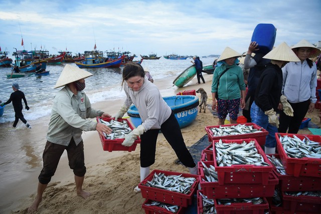 Việt Nam c&oacute; l&agrave;ng ch&agrave;i b&aacute;n loại mực chết l&agrave; mất gi&aacute;, nửa triệu đồng một kg m&agrave; người d&acirc;n vẫn v&ocirc; tư ăn với m&igrave; t&ocirc;m - Ảnh 14.
