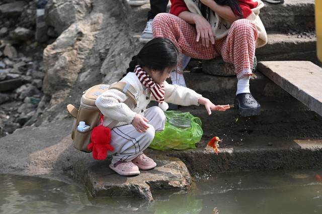 Mía chằng kín xe máy, cá chép đỏ rực bến sông: TP.HCM - Hà Nội rộn ràng tiễn ông Công ông Táo ngày 23 tháng Chạp- Ảnh 6.