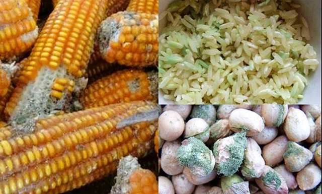 Ngày càng nhiều người còn trẻ đã khổ sở vì bệnh gan, bác sĩ nói thẳng: 4 loại hạt này ăn nhiều "phá gan" hơn bia rượu- Ảnh 2. Ngày càng nhiều người còn trẻ đã khổ sở vì bệnh gan, bác sĩ nói thẳng: 4 loại hạt này ăn nhiều "phá gan" hơn bia rượu- Ảnh 2.