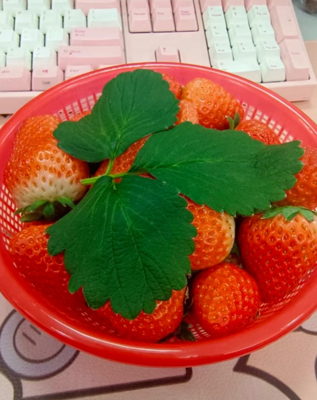 4 thứ nh&agrave; bạn hay d&ugrave;ng đi d&ugrave;ng lại: Thật ra bẩn kinh khủng, chuy&ecirc;n gia khuy&ecirc;n VỨT NGAY- Ảnh 4.