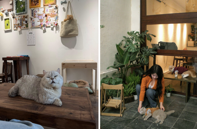 Quyết định ở lại H&agrave; Nội dịp lễ th&igrave; cứ lưu ngay 5 qu&aacute;n c&agrave; ph&ecirc; cực nghệ n&agrave;y để &ldquo;nh&acirc;m nhi&rdquo; trọn ng&agrave;y nghỉ - Ảnh 19.